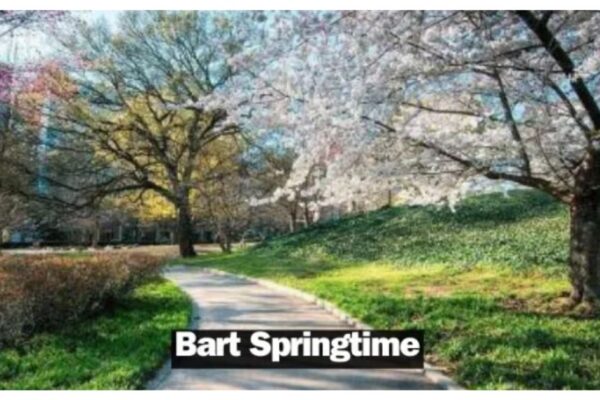 bart springtime