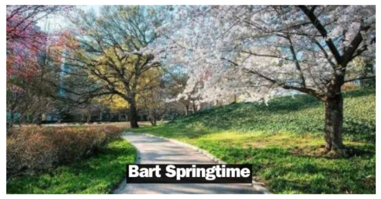 Embrace the Beauty of bart springtime: A Season of Renewal