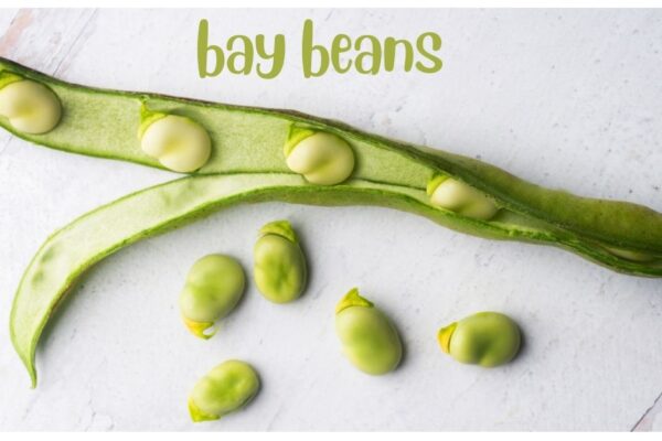 bay beans