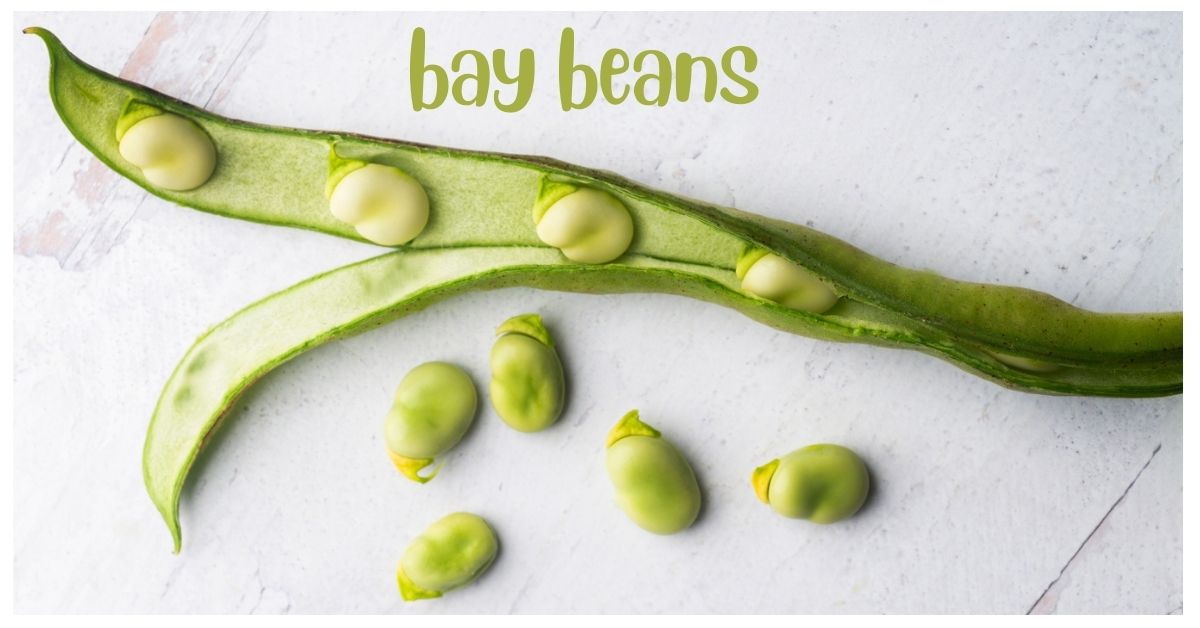 bay beans