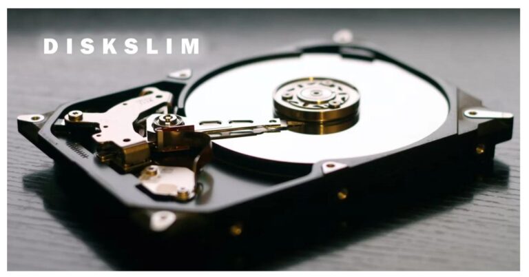 DiskSlim: A Comprehensive Overview of Slimming Down Your Storage